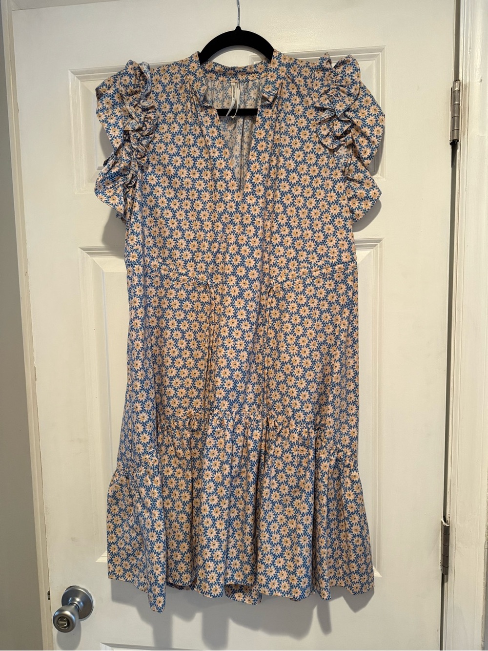 Anthropologie Blue and Cream Floral Ruffle Dress